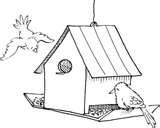 Bird Feeders Your Backyard Bird Feeders Your Backyard