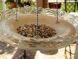 Bird Feeder Glass Plate pictures