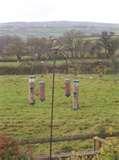 Bird Feeder Owls pictures Bird Feeder Owls pictures