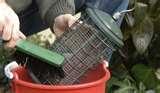 photos of Bird Feeders Your Backyard photos of Bird Feeders Your Backyard