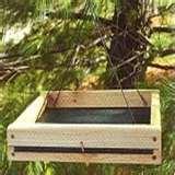 photos of Bird Feeders Fly Through photos of Bird Feeders Fly Through