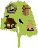 Bird Feeder Vector pictures