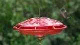 Bird Feeders Sturbridge Ma pictures Bird Feeders Sturbridge Ma pictures