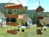 Bird Feeders Fly Through