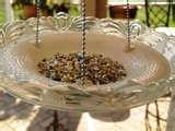 Bird Feeder Glass Plate images