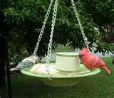 Bird Feeder Glass Plate Bird Feeder Glass Plate