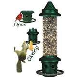 Squirrel Proof Bird Feeder Reviews pictures