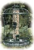 Caged Bird Feeders Caged Bird Feeders