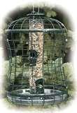 Caged Bird Feeders