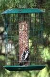 Caged Bird Feeders pictures Caged Bird Feeders pictures