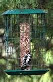 Caged Bird Feeders pictures