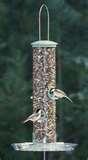 pictures of Aspects Bird Feeders