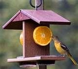 Oriole Bird Feeders images
