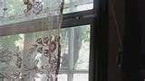 images of Opus Bird Feeders images of Opus Bird Feeders