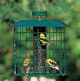 Caged Bird Feeders pictures