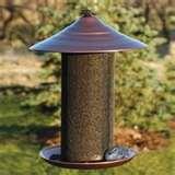 Caged Bird Feeders