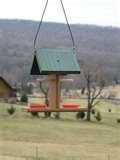 Audubon Bird Feeders pictures