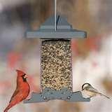 images of Squirrel Guards For Bird Feeders images of Squirrel Guards For Bird Feeders