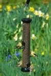 Droll Yankee Bird Feeders images