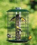 Baffles For Bird Feeders pictures