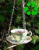 Teacup Bird Feeder pictures Teacup Bird Feeder pictures