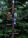 Bird Feeder Stores Bird Feeder Stores