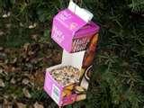 pictures of Recycled Bird Feeders pictures of Recycled Bird Feeders
