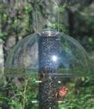 Baffles For Bird Feeders Baffles For Bird Feeders