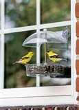 Droll Yankee Bird Feeders photos