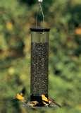pictures of Droll Yankee Bird Feeders