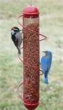 images of Bird Feeder Stores