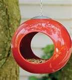 Bird Feeder Stores pictures