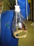 pictures of Recycled Bird Feeders pictures of Recycled Bird Feeders