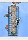 images of Squirrel Guards For Bird Feeders images of Squirrel Guards For Bird Feeders