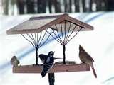 Recycled Bird Feeders Recycled Bird Feeders