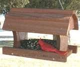 Bird Feeder Stores