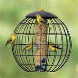 Droll Yankee Bird Feeders