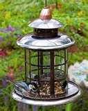 pictures of Bird Feeder Replacement Parts pictures of Bird Feeder Replacement Parts