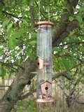 photos of Thistle Bird Feeder