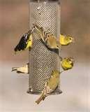 Thistle Bird Feeder Thistle Bird Feeder
