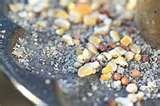 Buy Bird Feeders photos Buy Bird Feeders photos
