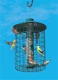 Hyde Bird Feeder