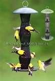 Thistle Bird Feeder photos