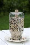 Buy Bird Feeders pictures