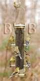 photos of Thistle Bird Feeder photos of Thistle Bird Feeder