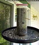 photos of Bird Feeders Canada photos of Bird Feeders Canada