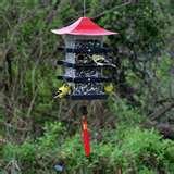 Wild Bird Feeder images