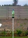 Soda Bottle Bird Feeder photos