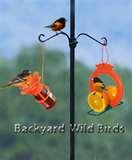 images of Oriole Bird Feeder