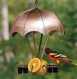 photos of Oriole Bird Feeder